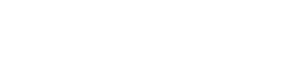 THE AREUM DESIG